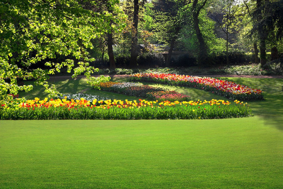 Jardinier